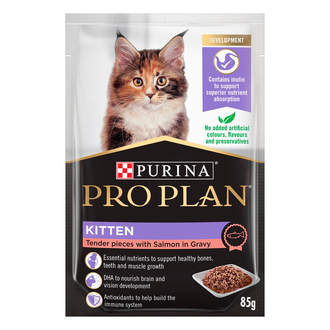 Purina pro plan original kitten best sale